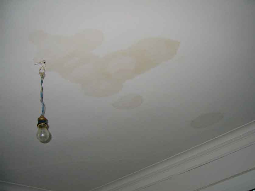 Roof Leak vs. Condensation